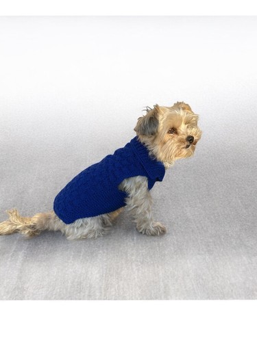 Pull chien pour petit - chien,
