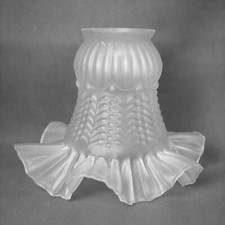 Tulipe en verre dépoli lustre