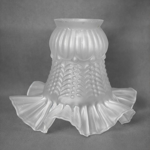 Tulipe verre dépoli - tulipe,