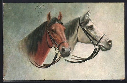 Têtes deux chevaux avec - têtes, de