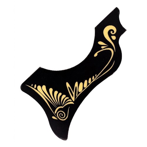 Pickguard anti rayures pour - pickguard,