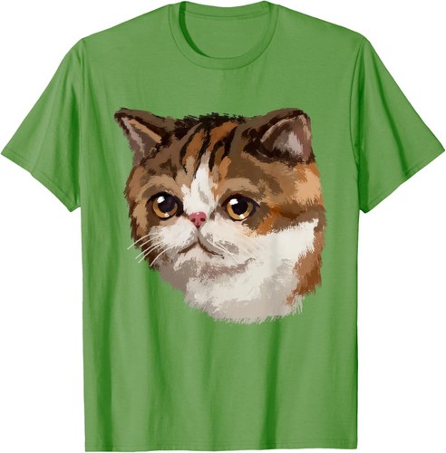New exotic shorthair cat - new,