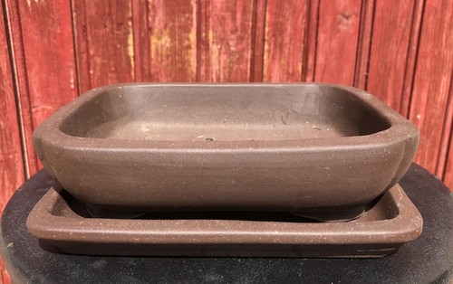 Pot bonsaï avec - pot, a