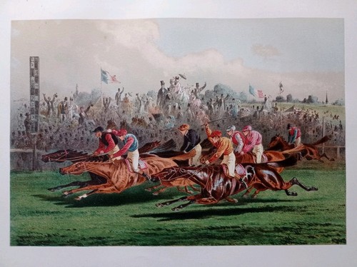 Hippisme couse chevaux - couse, de