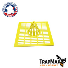 Piège à frelons asiatiques