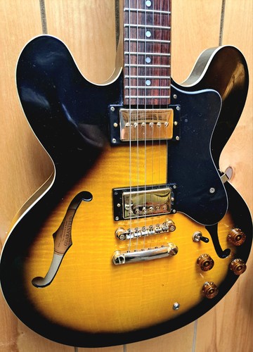 Epiphone dot deluxe 2009 - 2009, vs