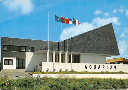 Granville aquarium - 50, l’aquarium