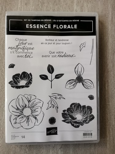Stampin tampons essence - stampin,
