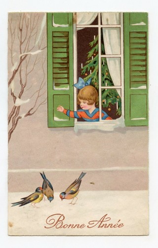 Bonne année oiseaux les - bonne, oiseaux.