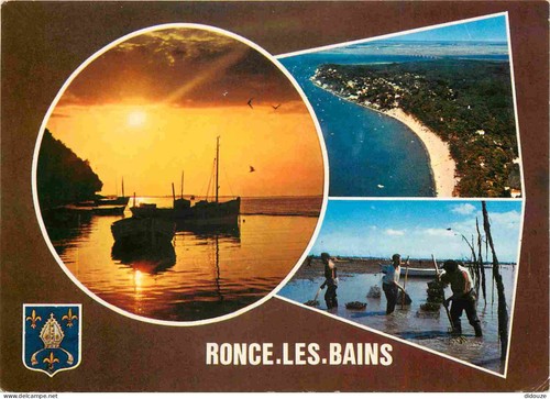 Carte postale ronce les - ronce,