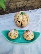 Adorable Ensemble Poivre Sel Moutarde