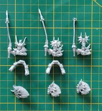 Warhammer Old world : 3 princes dragon de Caledor ( haut elfe / high elf) OOP