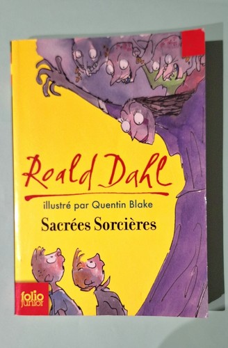 Sacrées sorcières - 🌺,