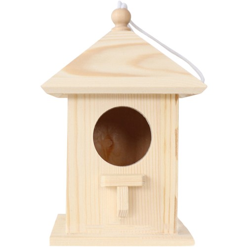 Nourrissage des oiseaux - des,