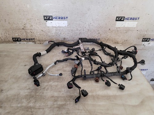 Faisceau bles moteur - de,