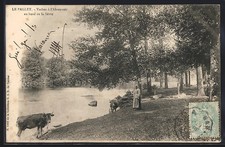 Old postcard Le Pallet, cows à l'drouvoir au bord de la Sèvre 