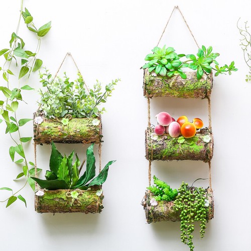 Extérieur fleur suspendu - extérieur,