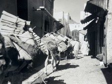 Afrique, Maroc, Tanger, Grand