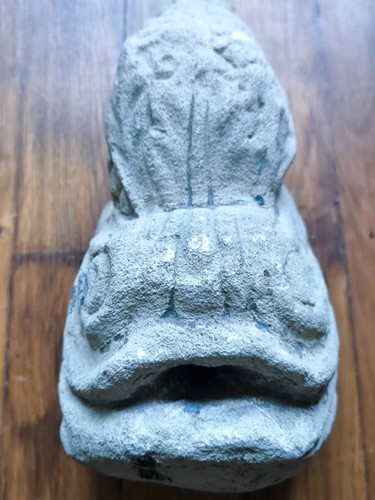 Poisson dauphin carpe - poisson,