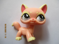 PETSHOP CAT MAINE COON N°1265