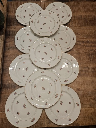 Lot assiettes plates - 11,