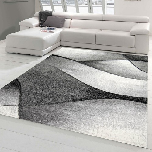 Tapis salon moderne - tapis, design