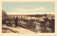 MONTMORILLON general view wolf dog ed robuchon