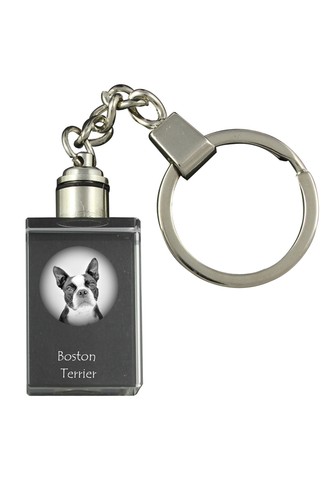 Boston terrier porte clés - terrier, en