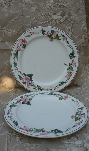 Grandes assiettes plates - 2,