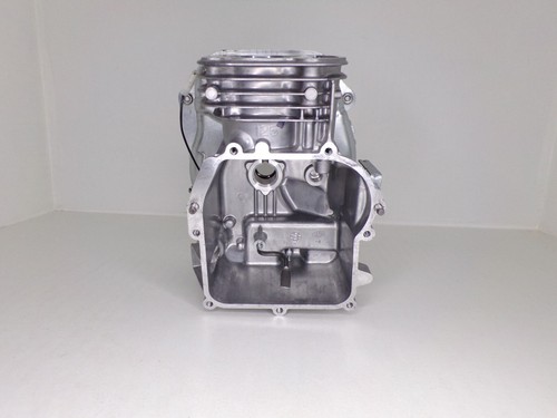 Bloc cylindre moteur - , briggs