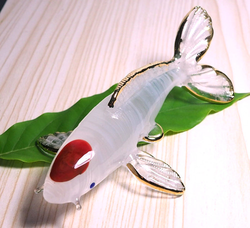 Japanese carp tancho koi fish - carp,