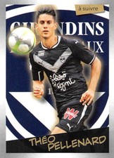 stickers Panini FOOT