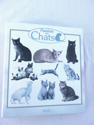Classeur passion des chats - classeur,