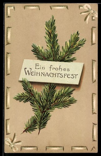 Carte postale branche sapin - carte, de
