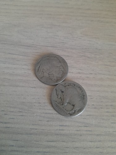 Lot cents buffalo nickel - "buffalo,