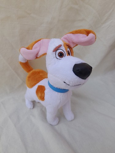 Peluche chien max - chien, comme
