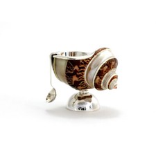 Perlenschnecke Escargot Sel