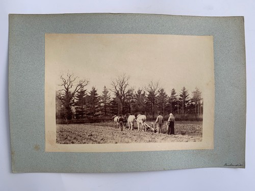 Photo albumine labourage la - labourage,