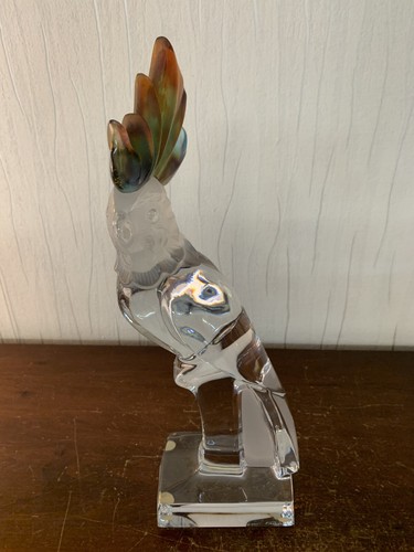 Cacatoès perroquet cristal - cacatoès,