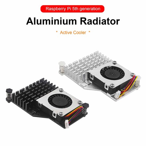 Raspberry radiator active - raspberry,