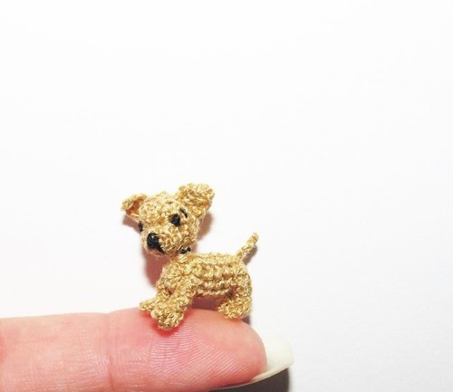 Dollhouse miniature chihuahua - dollhouse,