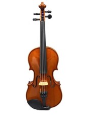Other Brands Violin VL80 1 2 2020 Andreas Eastman Semi-Hard Case_Bow_Jaw Used