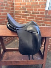 dressage childeric swarowski