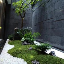 Tapis mousse verte texture