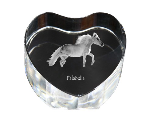 Falabella photo de cheval - falabella,