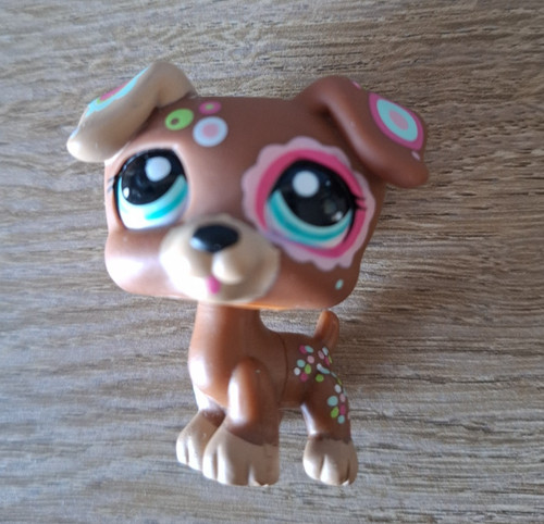 Chien jack russel 1579 - chien, #1579