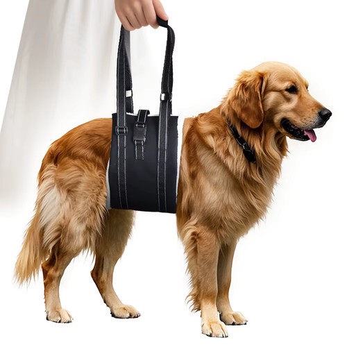 Harnais sling levage - sling, chien