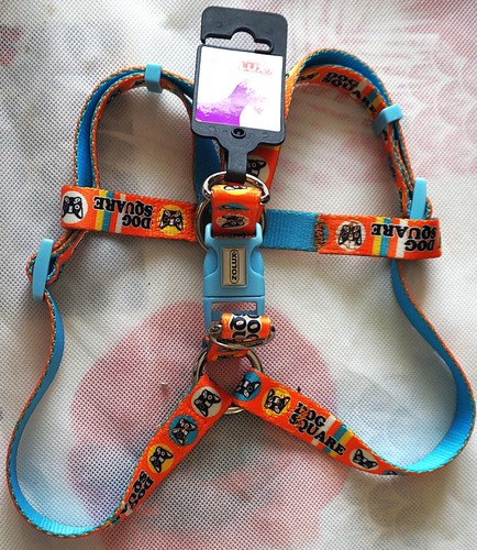 Harnais avec sangle ventrale