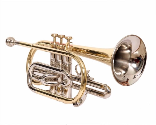 Cornet neuf finition laiton - finition,