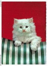 ASHP3-0158-CHAT - CHATON